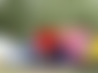 Meningkatkan Kerjasama Tim di Alam Terbuka dengan Camping Outbound