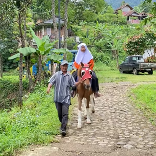 Wahana Berkuda Citra Alam