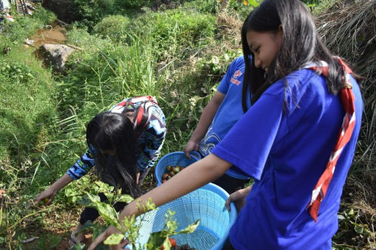Agro Sayur