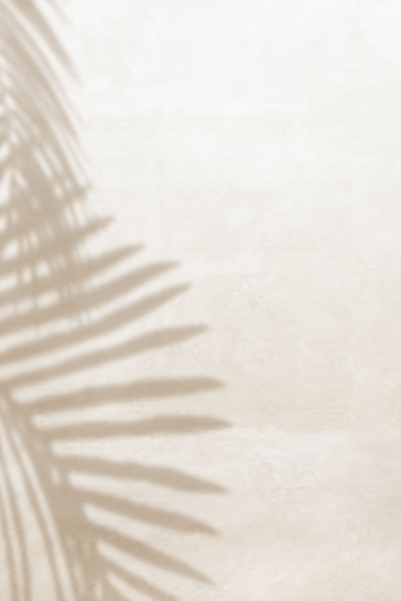 shadow-palm-leaves-design-element.jpg