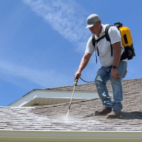 Thumbnail: RejuvaRoofs® Shingle Saver