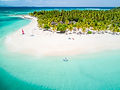Palm Island-SVG (Photo Credit-Jeremie Tronet- JT Pro center).jpg