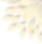 Untitled design (2)_edited.png