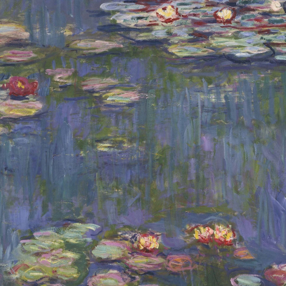 Water lilies