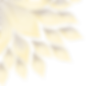 Untitled design (2)_edited.png