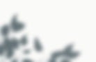 757b64146a84b554acc277fbc4aa1175_edited_edited.jpg