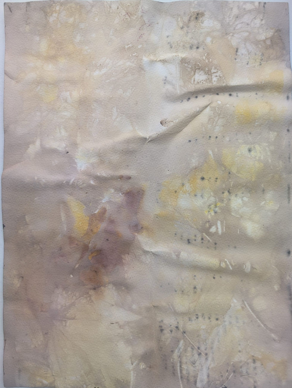 WhatsApp Image 2024-09-23 at 2.38.58 PM.jpeg