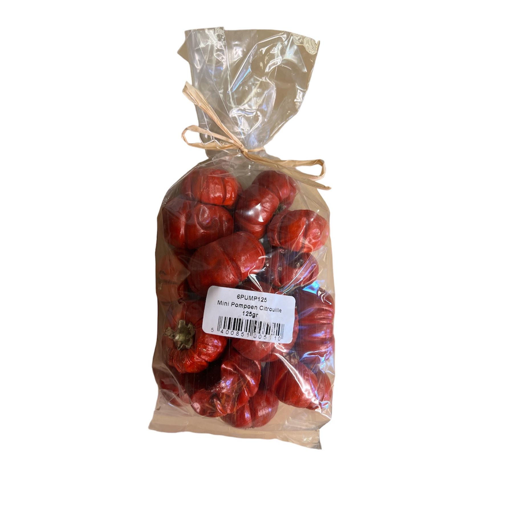 Sachet citrouilles pour décoration env.15 pièces