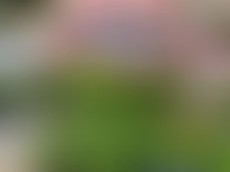 How does shade affect solar performance?