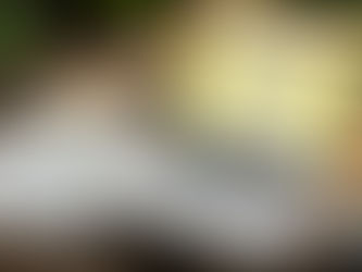 5 Simple Yet Effective Ways of Branding for Small Businesses