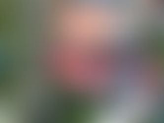 Solaready Home: 10 kWp Solar Installation in Quezon City