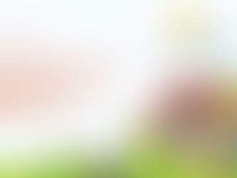 How Net Metering Works in the Philippines: A Simple Guide for Homeowners and Businesses