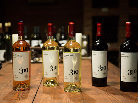 Fautor Winery: Moldova’s Bold New Voice in Winemaking