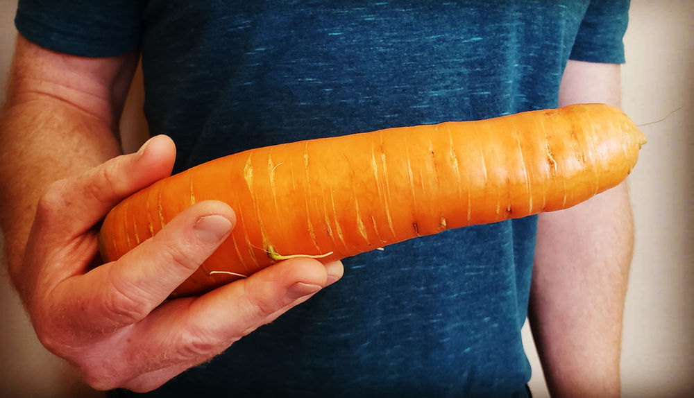 Carrots Underground Honey