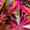 Thumbnail: TN 009 Gujrati Embroidered Wall Hanging (With Holes)