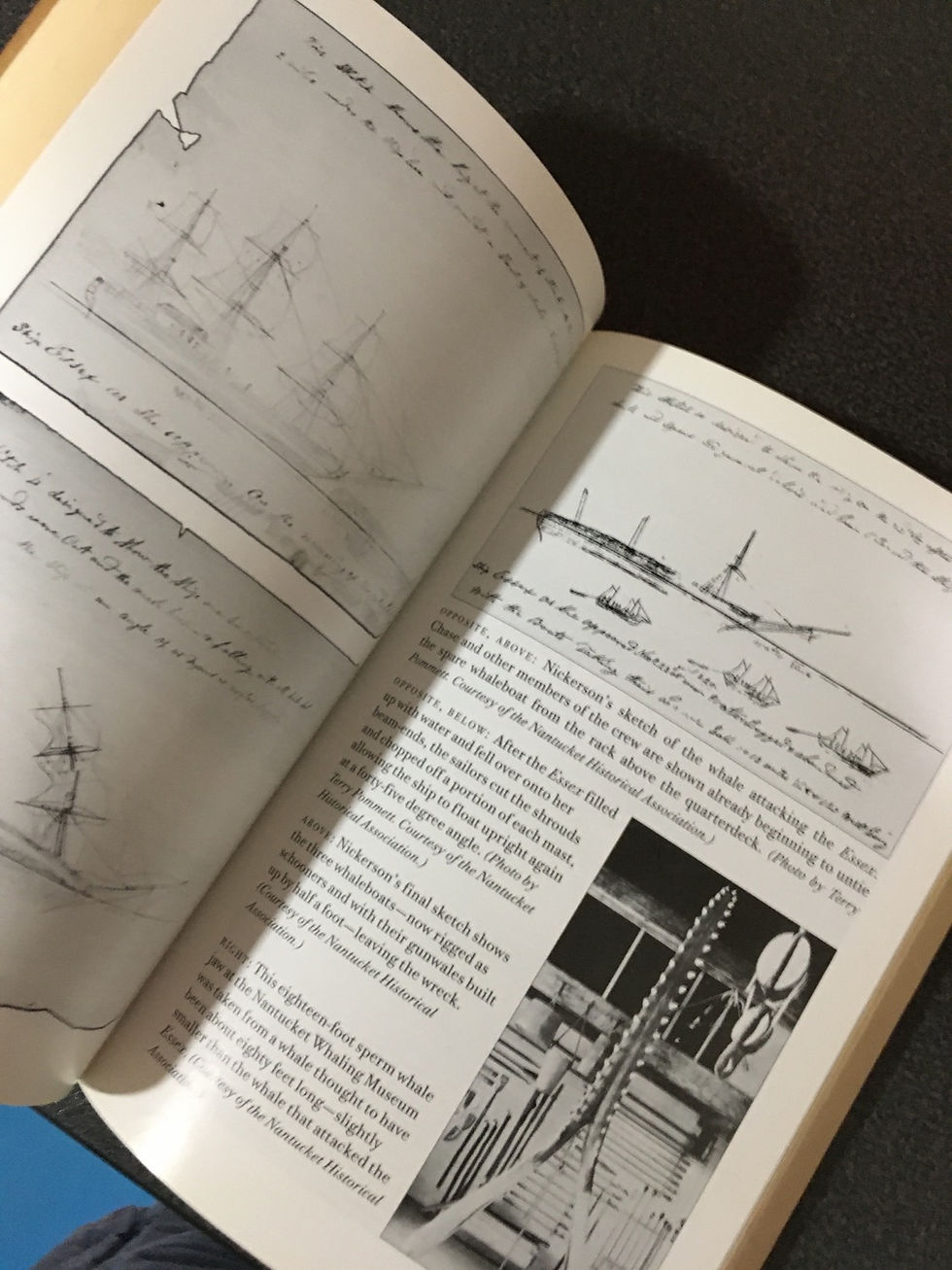 Thumbnail: Nathaniel Philbrick / In the Heart of the Sea (1/2)