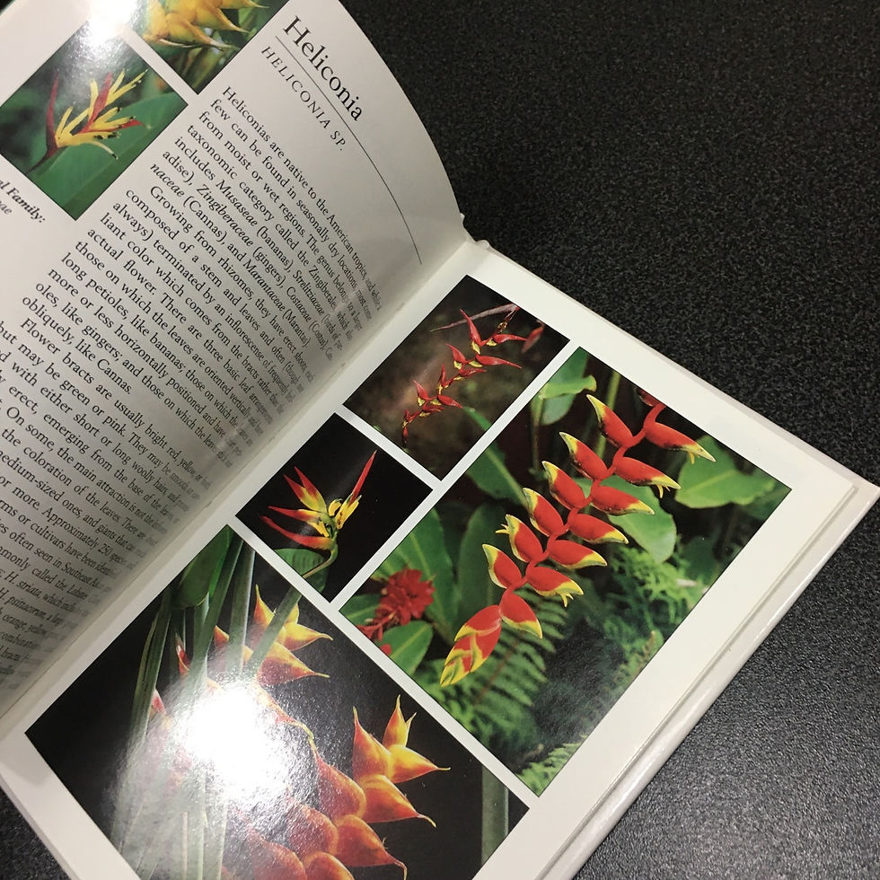 Thumbnail: Periplus / Tropical Flowers of Thailand