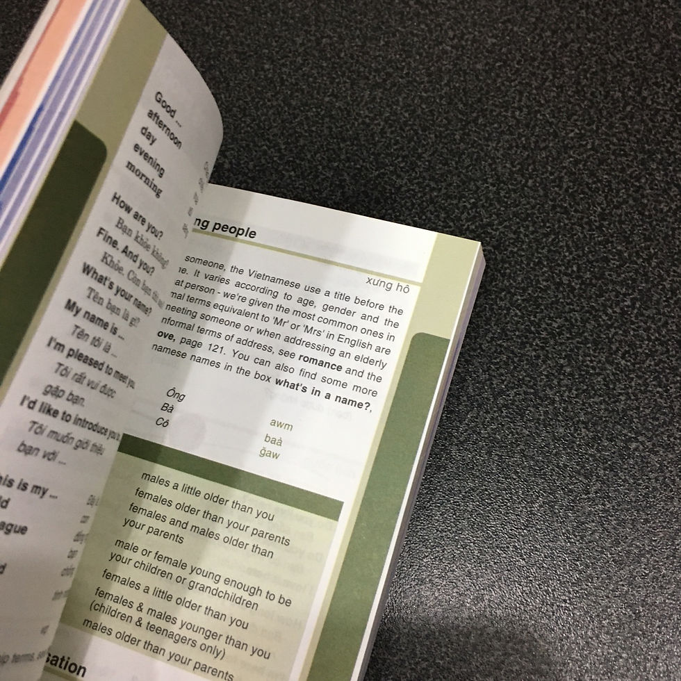 Thumbnail: Lonely Planet Phrasebook: Vietnamese