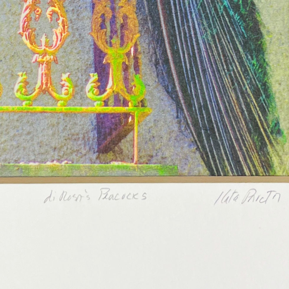 Thumbnail: Kata Proctor: de Rosn’s Peacocks (12” x 9”)
