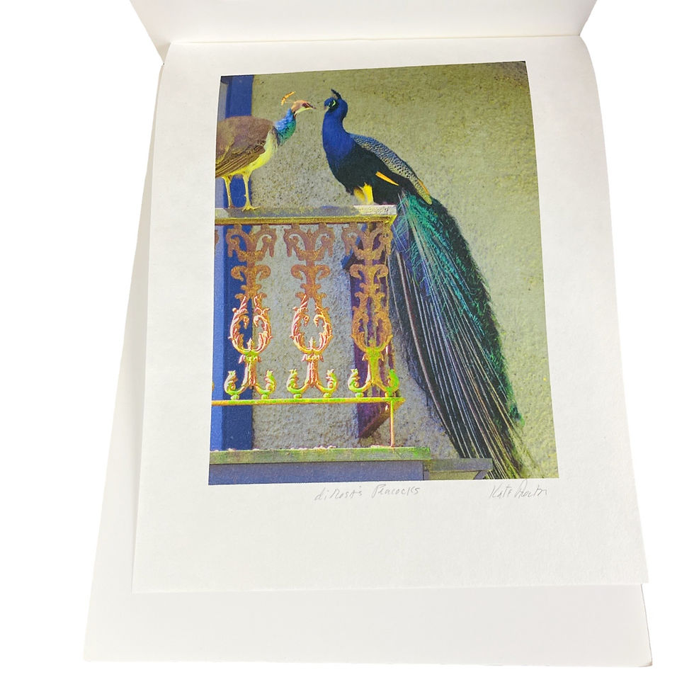 Thumbnail: Kata Proctor: de Rosn’s Peacocks (12” x 9”)