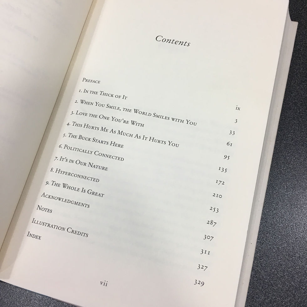 Thumbnail: Christakis and Fowler / Connected
