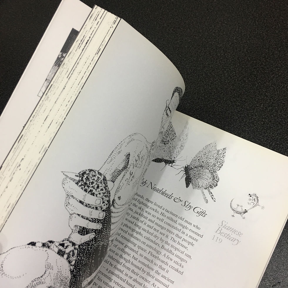 Thumbnail: Kristiaan Inwood / Siamese Bestiary