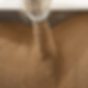 Slide25.GIF