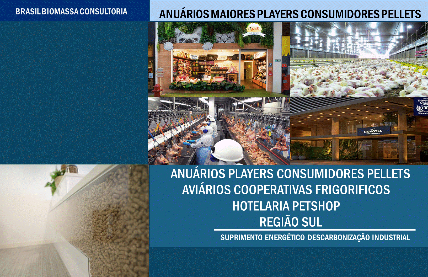 Anuarios Players Consumidores Pellets Região Sul