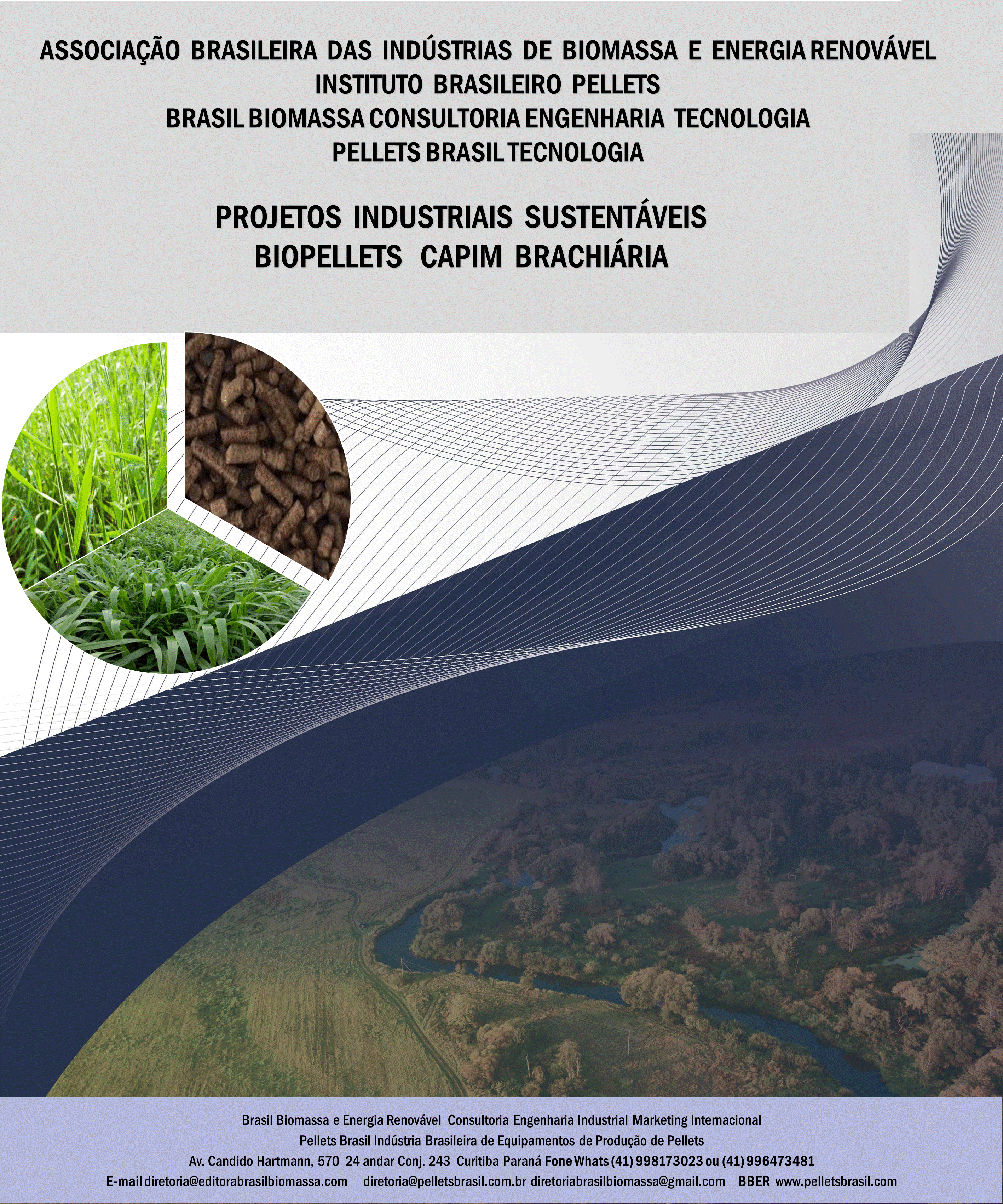 Brasil Biomassa Pellets Biopellets Capim Brachiaria.gif
