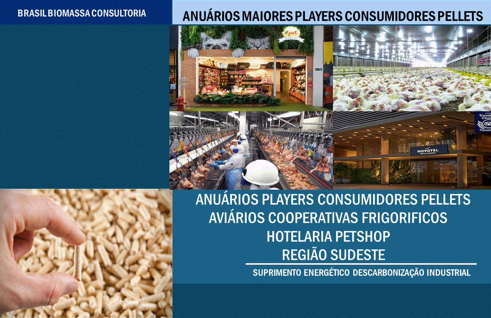 Anuarios Players Consumidores Pellets Região Sudeste