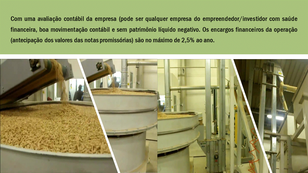 Pellets Brasil