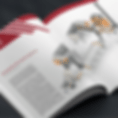 Slide11.GIF