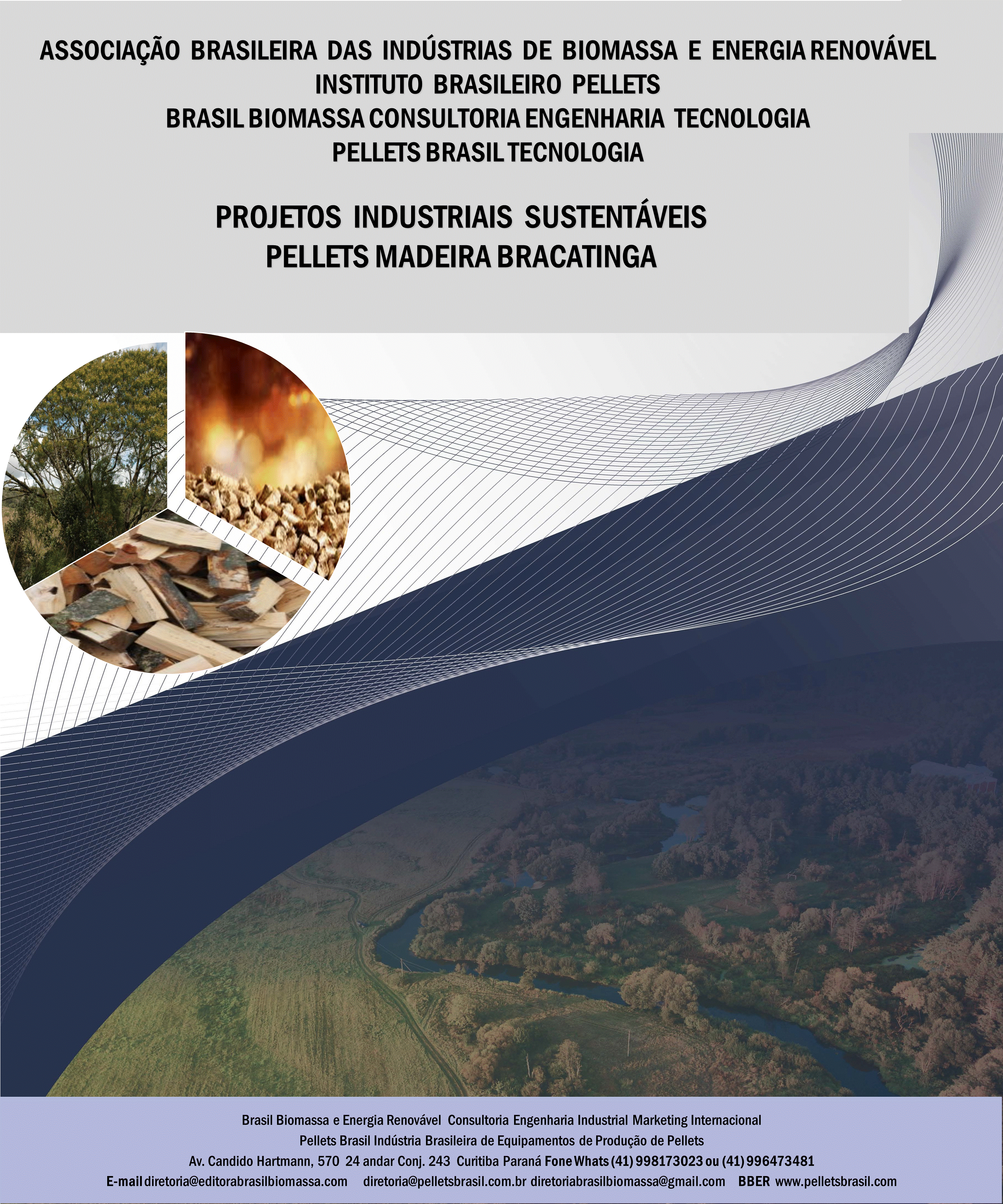 Brasil Biomassa Pellets Pellets Madeira Bracatinga.gif