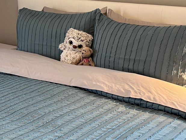Guest Bedroom with King Size bed