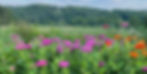 image_72192707_edited.jpg