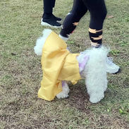 빠져나오시개 4.jpg