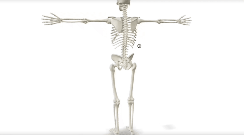 3DModel.gif