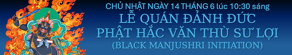 BM banner vN v2.png