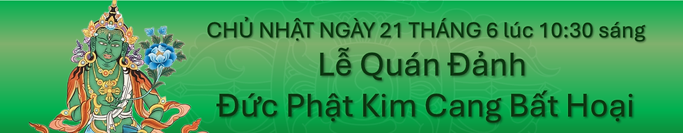 VVid banner VN.png