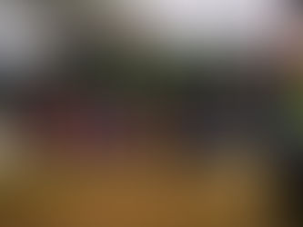 04 2024