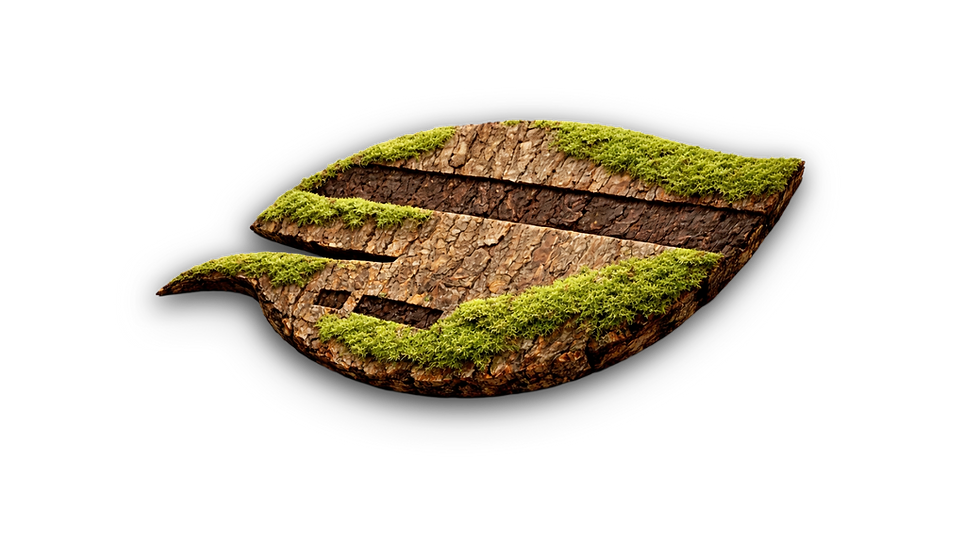 Nature Card Logo freigestellt 2.png