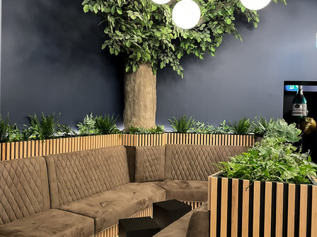 Lounge / Winds & Woods