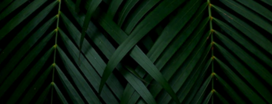 Snip20180929_1.png