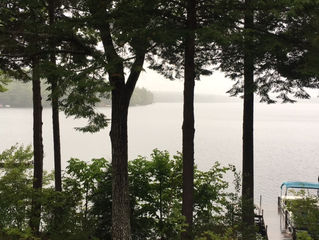 Rainy Days at Birch Point