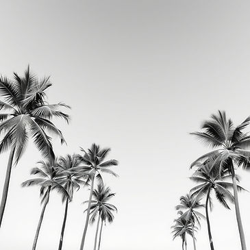 light grey, with transparent palm trees.jpg