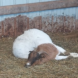 IMG_20220329_124702_051 1