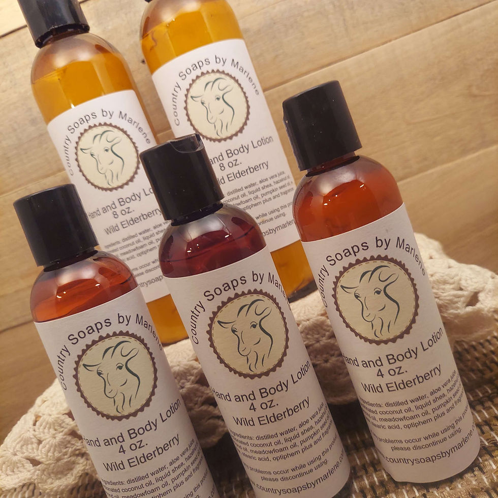 Thumbnail: Wild Elderberry Aloe Vera Lotion 8 oz