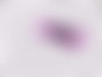 【網域DA】DA、PA是甚麼?如何增加DA分數?