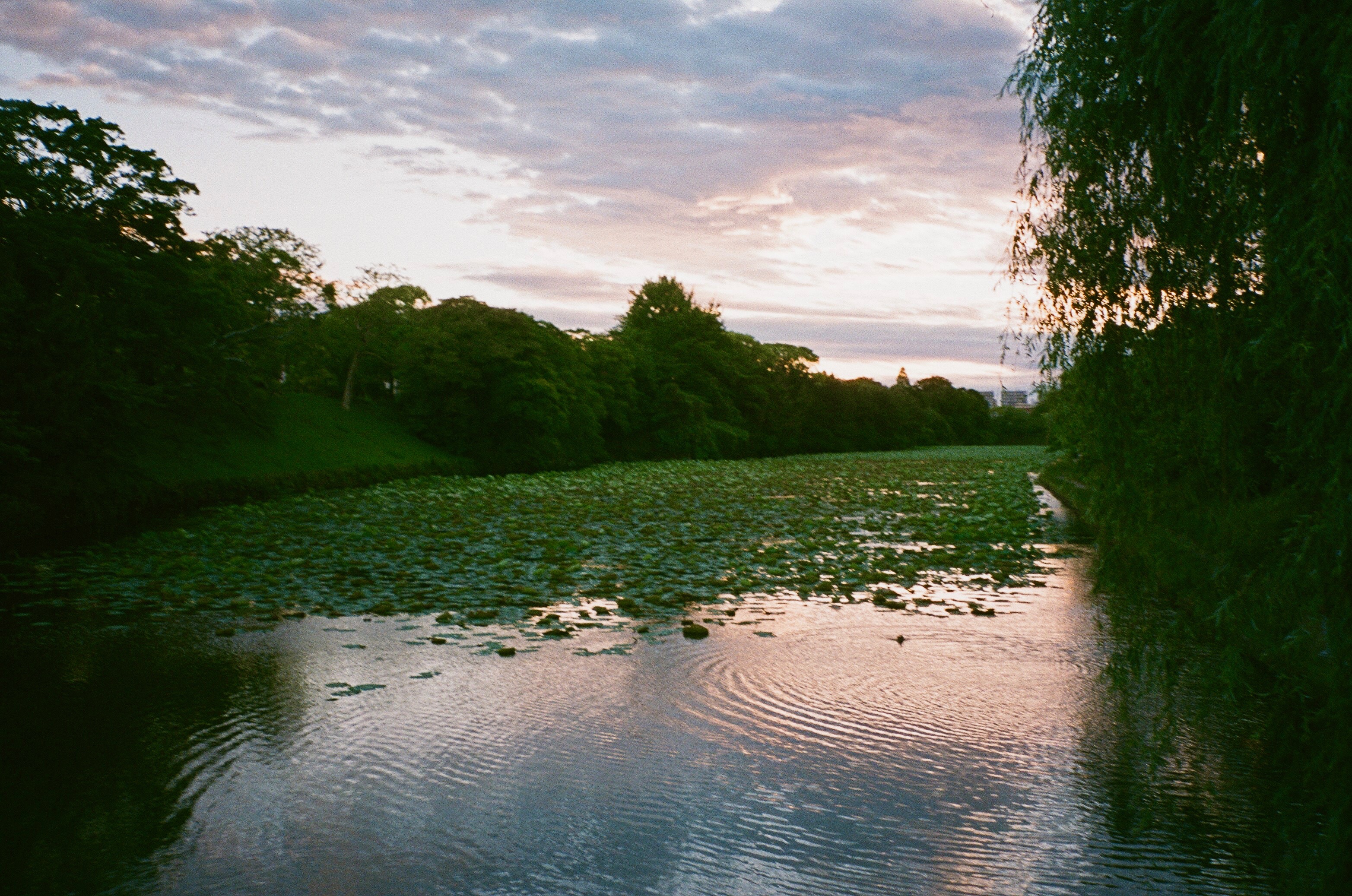 35mm Kodak Film Japan 2019
