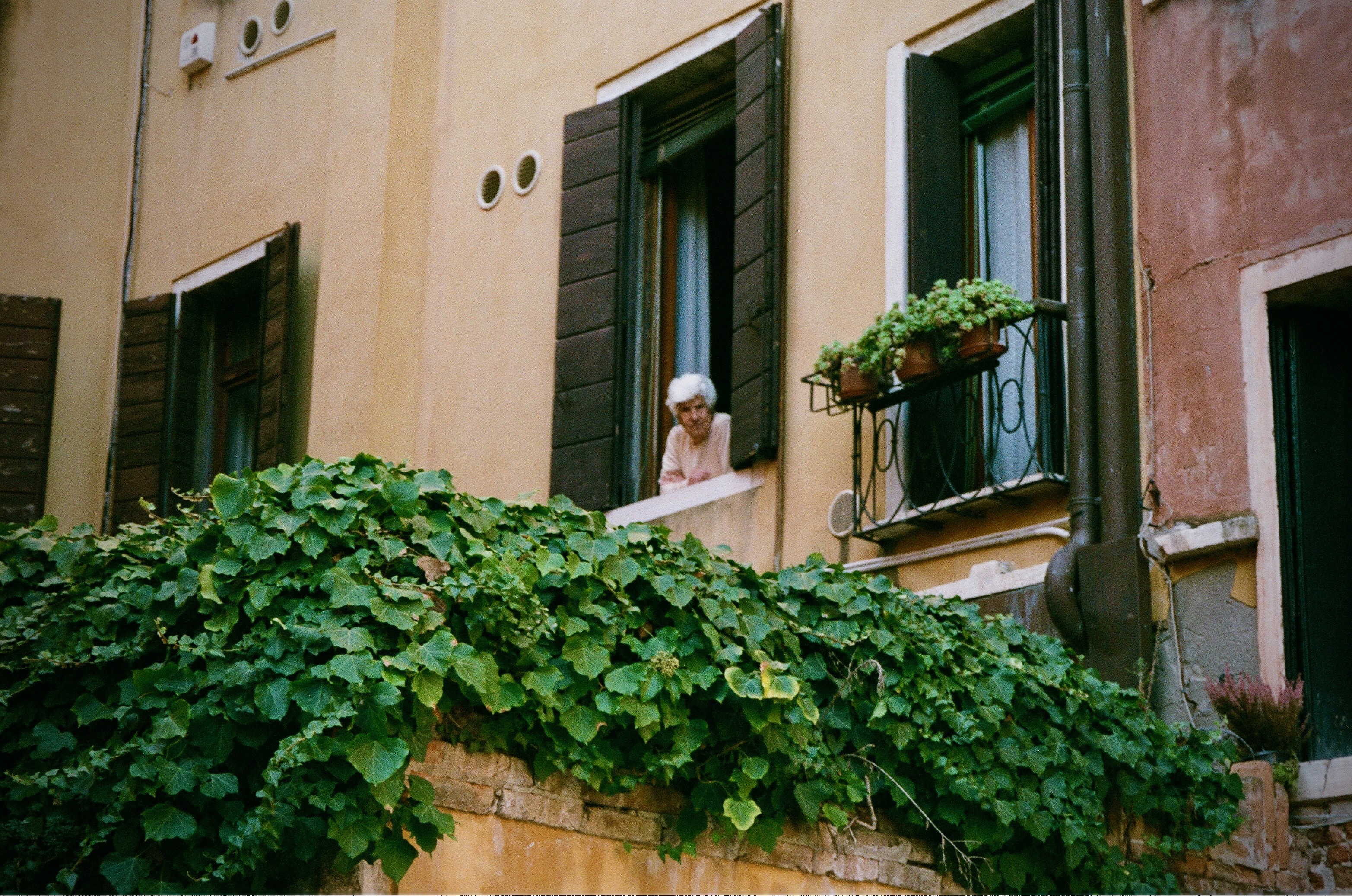 35mm Kodak Film Venice 2019